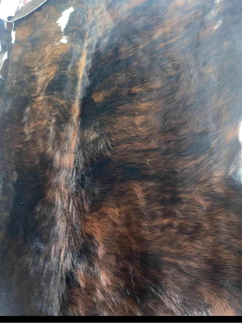 Cowhide rugs